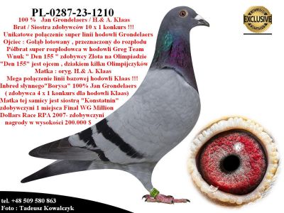 PL-0287-23-1210   Unikatowe połączenie - 100 % Jan Grondelaers