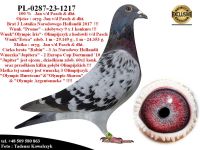 PL-0287-23-1217 Unikat- Linia bazowa hodowli Jan v/d Pasch