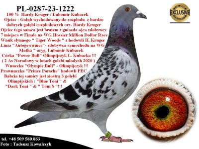 PL-0287-23-1222   Super połączenie Hardy Kruger / Lubomir Kubacek