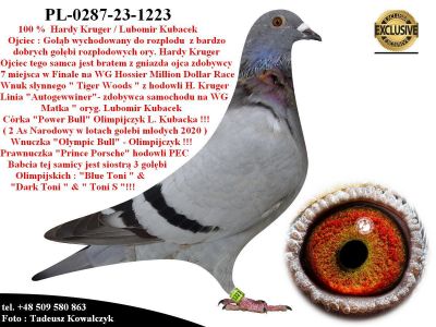PL-0287-23-1223  Super połączenie Hardy Kruger / Lubomir Kubacek