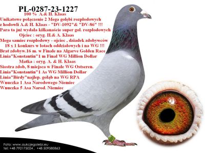 PL-0287-23-1227  Potomek 2 Mega Rozpłodowców 