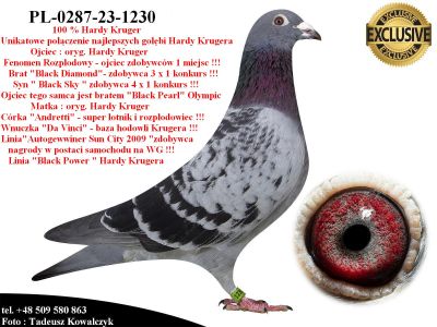 PL-0287-23-1230  Mega geny najlepszych gołębi Hardy Krugera