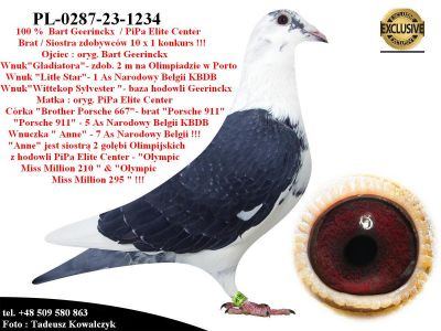 PL-0287-23-1234  Mega połączenie hodowli Gerinckx / PiPa Elite Center