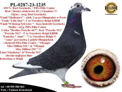 PL-0287-23-1235  Mega połączenie hodowli Gerinckx / PiPa Elite Center