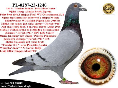 PL-0287-23-1240  Super inbred linii 