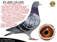 PL-0287-23-1255   Mega połączenie oryg. Willem de Bruijn & oryg. Jan v/d Pasch