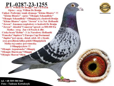 PL-0287-23-1255   Mega połączenie oryg. Willem de Bruijn & oryg. Jan v/d Pasch