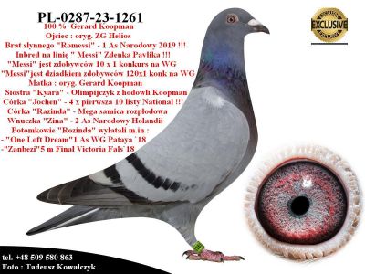 PL-0287-23-1261 Połączenie linii 