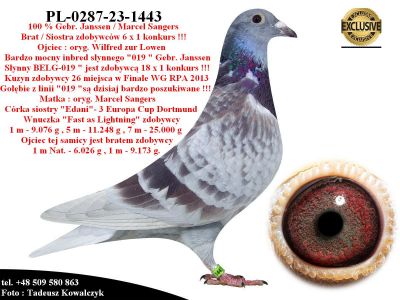 PL-0287-23-1263  Super połączenie Janssen 