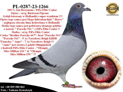 PL-0287-23-1266   Mega połączenie linia 