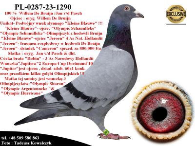 PL-0287-23-1290   Mega połączenie oryg Willema de Bruijn & Jan v/d Pasch