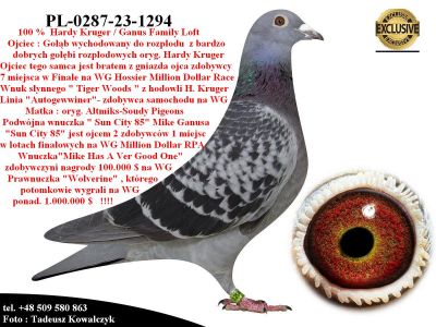 PL-0287-23-1294  Super połączenie hodowli Hardy Kruger & Mike Ganus