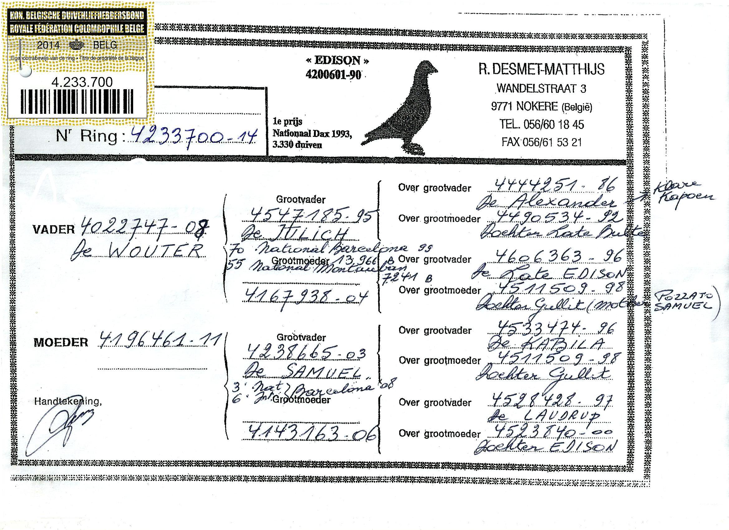 PL0287231298 Unikat potomek 2 oryg. DesmetMatthijs