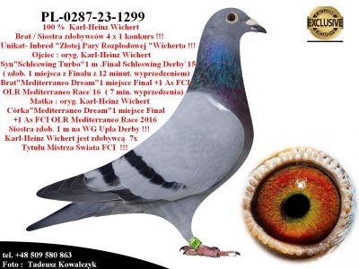 PL-0287-23-1299   Unikat - Inbred 