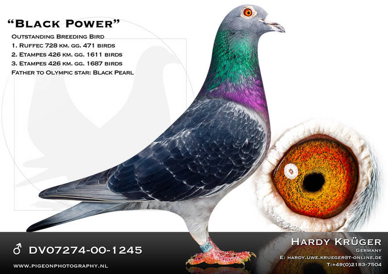 Hardy “H.Cholmondeley-Pennll” FISHING - 2 Volumes by Cholmondeley-Pennell (H) and Others