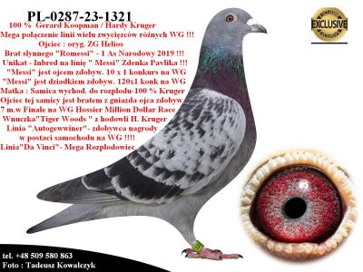 PL-0287-23-1321  Super połączenie linii 