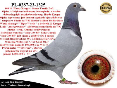 PL-0287-23-1325  Super połączenie hodowli Hardy Kruger & Mike Ganus