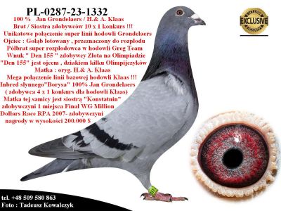 PL-0287-23-1332   Unikatowe połączenie - 100 % Jan Grondelaers