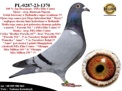 PL-0287-23-1370   Mega połączenie linia 