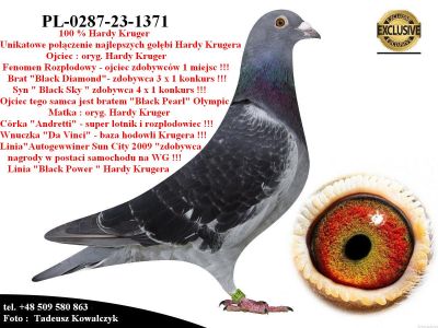 PL-0287-23-1371  Mega geny najlepszych gołębi Hardy Krugera