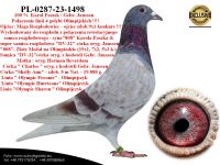 PL-0287-23-1376 Mega połączenie Gebr. Janssen & Karol Paszek