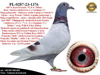 PL-0287-23-1376  Mega połączenie Karol Paszek &  W.& F. Ebben