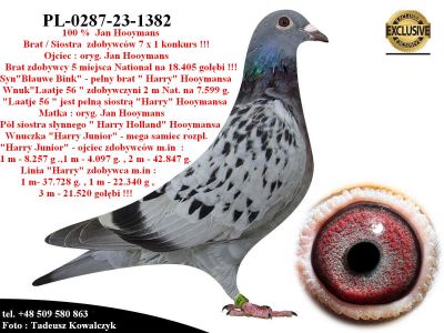PL-0287-23-1382  Super geny hodowli Jana Hooymansa