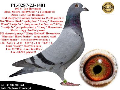 PL-0287-23-1401   Linia bazowa hodowli Jana Hooymansa