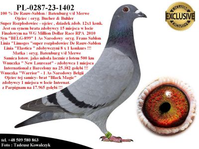 PL-0287-23-1402  Mega połączenie De Rauw-Sablon & Batenburg v/d Merwe