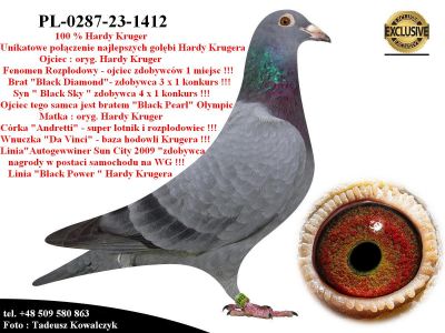 PL-0287-23-1412   Mega geny najlepszych gołębi Hardy Krugera