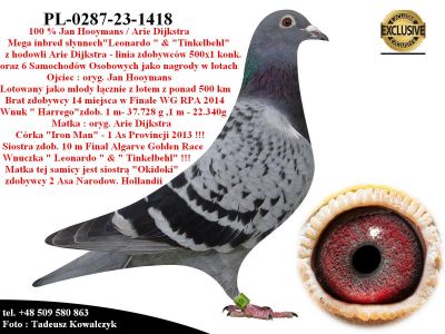 PL-0287-23-1418 Unikat - inbred pary 