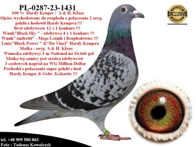 PL-0287-23-1431   Super połączenie hodowli Hardy Kruger & H.& A. Klaas