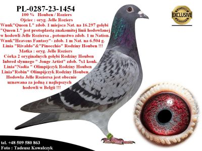 PL-0287-23-1454   Unikatowe geny hodowli Houben / Roziers