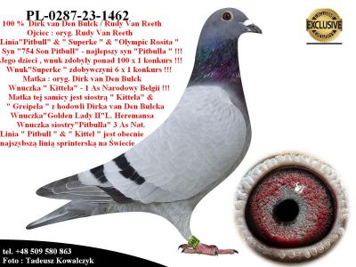 PL-0287-23-1462   Mega połączenie linii 