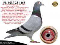 PL-0287-23-1463    Rewelacyjne połączenie lini wielu zwycięzców różnych WG