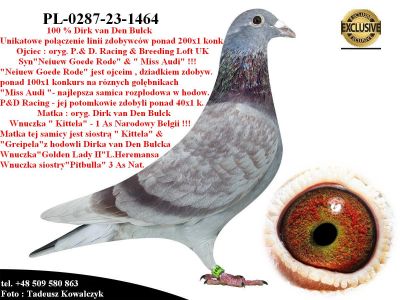 PL-0287-23-1464   Najlepsze geny hodowli Dirka van Den Bulcka