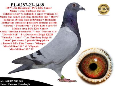 PL-0287-23-1468 Mega połączenie linia 