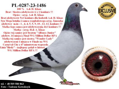 PL-0287-23-1486  Unikat - linia bazowa hodowli A.& H. Klaas