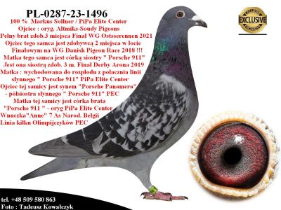 PL-0287-23-1496   Super inbred linii 