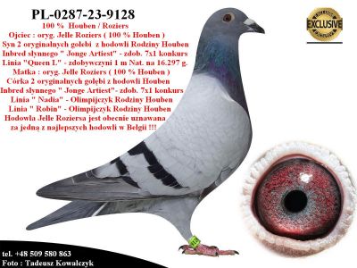 PL-0287-23-9128  Linia bazowa hodowli Houben / Roziers