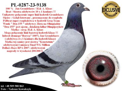 PL-0287-23-9138  Unikatowe połączenie - 100 % Jan Grondelaers