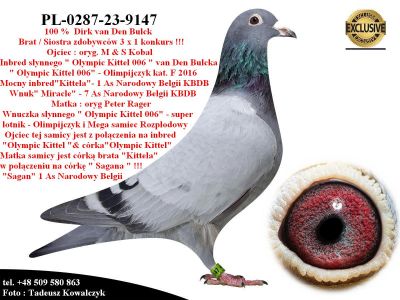 PL-0287-23-9147 Mega Inbred 