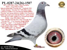 PL-0287-24(26)-1507   Mega połączenie linii 