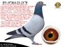 PL-0287-24(26)-1507   Mega połączenie linii 