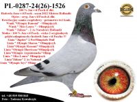 PL-0287-24(26)-1526   Potomek Kilku Olimpijczyków z hodowli Jana v/d Pascha