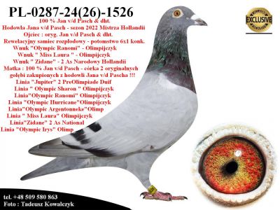 PL-0287-24(26)-1526   Potomek Kilku Olimpijczyków z hodowli Jana v/d Pascha