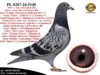 PL-0287-24-5148  Połączenie najlepszych gołębi Jana v/d Pascha