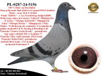 PL-0287-24-5156  Unikatowe połączenie gołębi Dirka van Den Bulcka