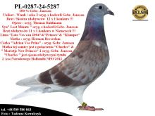 PL-0287-24-5287/58   Unikaty - Wnuki oryginalnych gołębi  Gebr. Janssen