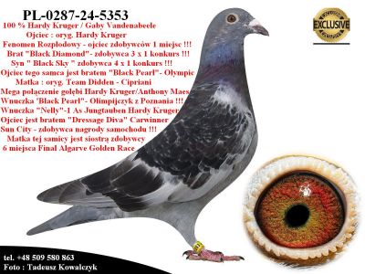 PL-0287-24-5353    Super linia hodowli Hardy Krugera